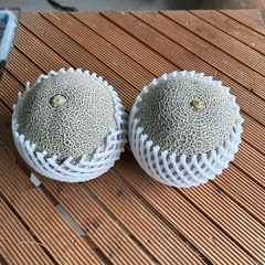 ✨売り切れました！ありがとうございました🙇‍♀️2キロ越え大玉メロン‼️✨草津メロン 赤肉 ホノカメロン　大きめサイズの画像