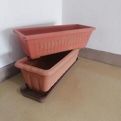 決定しました　プランターの画像