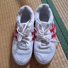 体育館シューズ