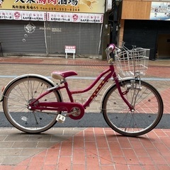 【早い者勝ち】 ブリヂストン ジュニアサイクル 22インチ　希少