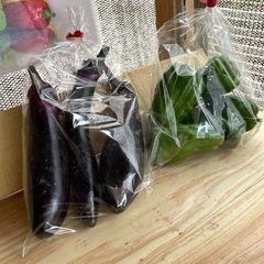 朝採れ野菜　一袋100円　なす　ピーマン　玉ねぎ　じゃがいも