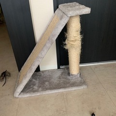 猫の爪とぎ