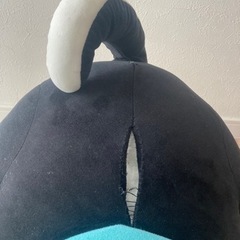 柴犬 くろしばんばんの画像