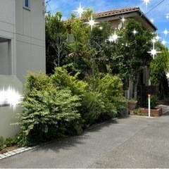 お庭、庭木のお手入れ、伐採などで笑顔になりませんか(* 'ᵕ' )☆ - 藤沢市