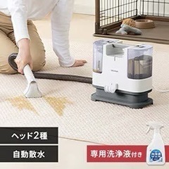 リンサークリーナー 自動散水 温水洗浄 RNS-P10-W