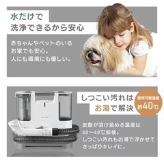 リンサークリーナー 自動散水 温水洗浄 RNS-P10-Wの画像