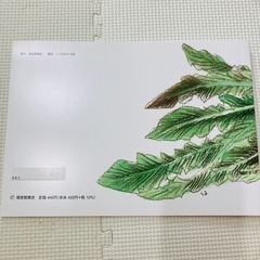 絵本　おおきなかぶ/ぐりとぐらのかいすいよくの画像