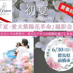 【前橋】愛犬撮影会・紫陽花