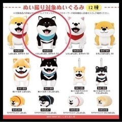 柴犬 くろしばんばんの画像