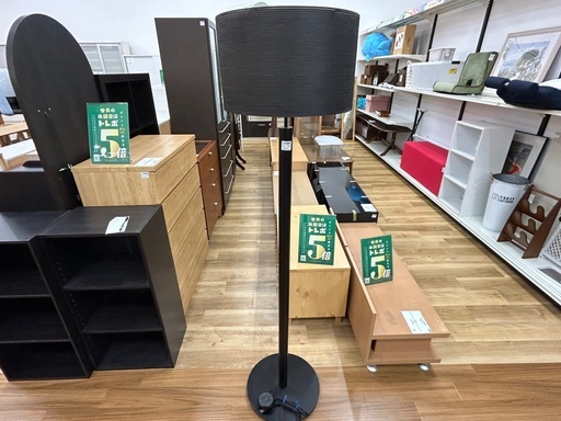 【軽トラック90分無料貸し出し】CASSINA IXCのフロアスタンド入荷しました！！