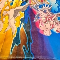 ポケモン】ラッシュガード《110cm》の画像