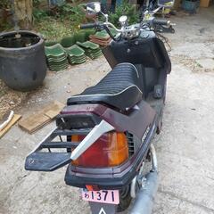 スペイシー125 ストライカー　自賠責つきの画像