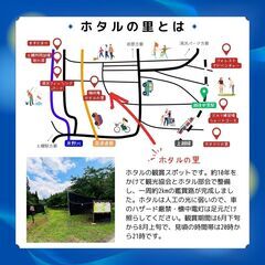 【開催‼️6月29日(土)15:00~20:00 ホタルの夕べ】 - 地域/お祭り