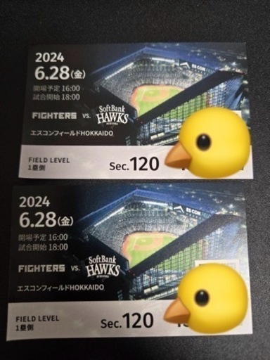 6/28日ハム試合チケット