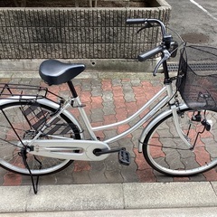 🚴ミモザ24インチ