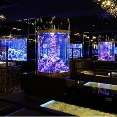平日夜に相席屋