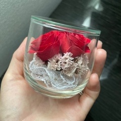 ブリザードフラワー バラの画像