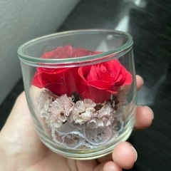 ブリザードフラワー バラの画像