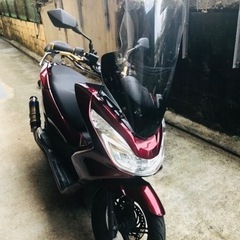 pcx   