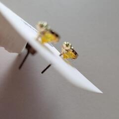 SHOO-LA-RUEの新品ピアス🍍の画像