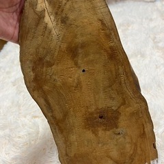 インテリア雑貨/木のフック/オブジェの画像