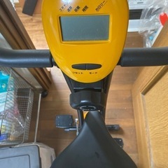 スポーツ マリンスポーツ