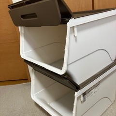まとめて引き取る方のみの画像