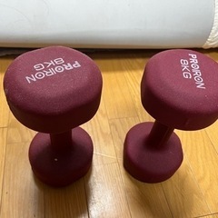 ダンベル　8KG2個