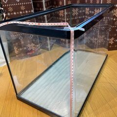 【熱帯魚・アクアリウム】（A-1）60㎝水槽の画像