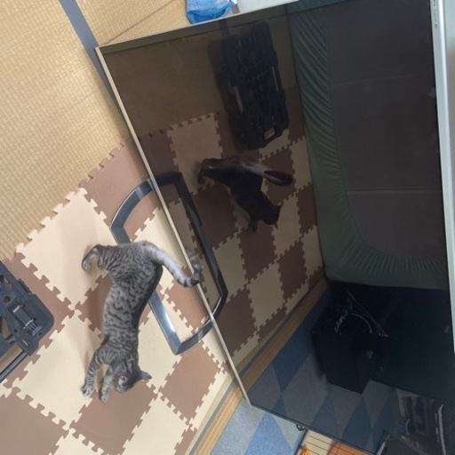 テレビ80インチ　\n