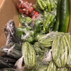 【好評に付き第8段】畑で採れた野菜