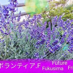 ☀️ボランティアスタッフ募集☀️