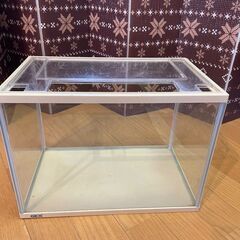 【熱帯魚・アクアリウム】（D）35cm水槽セット（水槽・エアポンプ・フィルタ）の画像