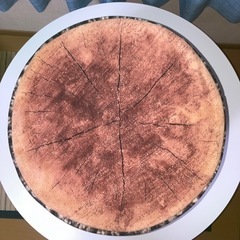 切り株の画像