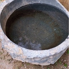 花崗岩をくり抜いた手水鉢63×32 つくばい 睡蓮鉢 すいれん鉢 メダカ鉢 めだか鉢 ガーデン 庭 の画像