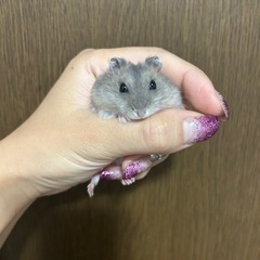 一時停止中 です🙏