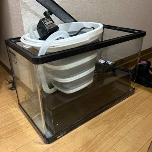 決まりました。60cm水槽