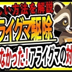害獣・害虫駆除　無料相談