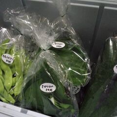 新鮮野菜コーナー6月25日の品出し予定です。の画像