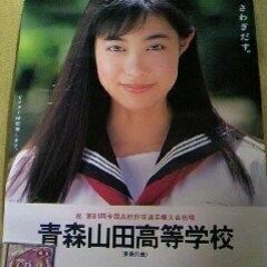 吹石一恵　山田高校　超プレミア非売品　ポスター　レア