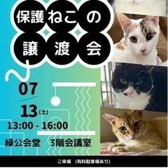 7/13保護ねこの譲渡会🍀緑公会堂　GreenCatよこはま