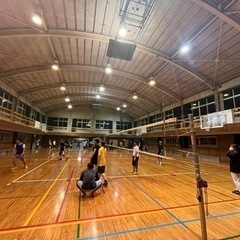 バレーボールしたい方募集