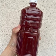 光合成細菌PSB低臭タイプ1L