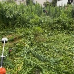 草刈機で草刈り致します！　住宅は5000円のみになります！