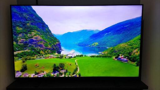 液晶テレビ TVS REGZA 50M550M