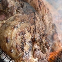 ⚠️満席60名枠🍖肉まみれの会🍺7/20(土)→8月募集へどうぞ🍉本格的BBQ🍒東京都小金井市🍋手ぶら参加の食べ飲み放題🍎20〜40歳  − 東京都