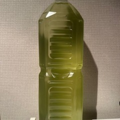 めだかグリーンウォーター🟢