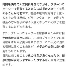 めだかグリーンウォーター🟢の画像