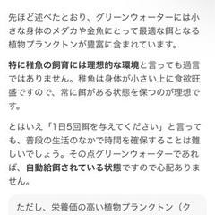 めだかグリーンウォーター🟢の画像