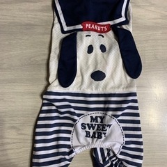 わんちゃん🐶服　4枚セットの画像